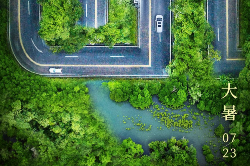 大暑安康 | 神州绿色算力为您稳定护航